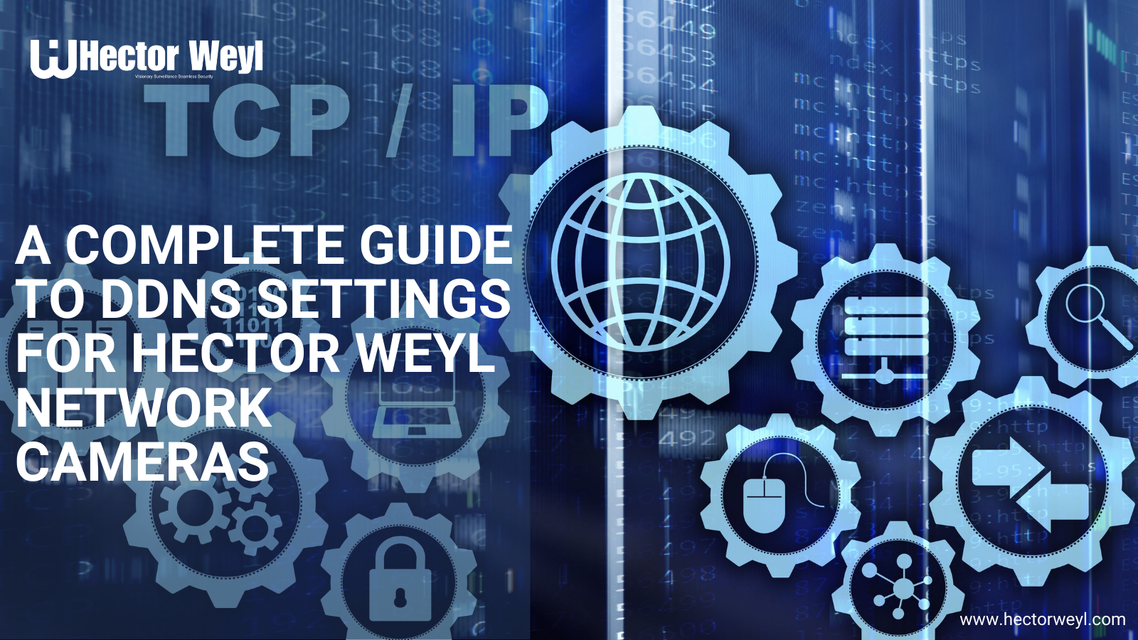 A Complete Guide to DDNS Settings for Hector Weyl Network Cameras