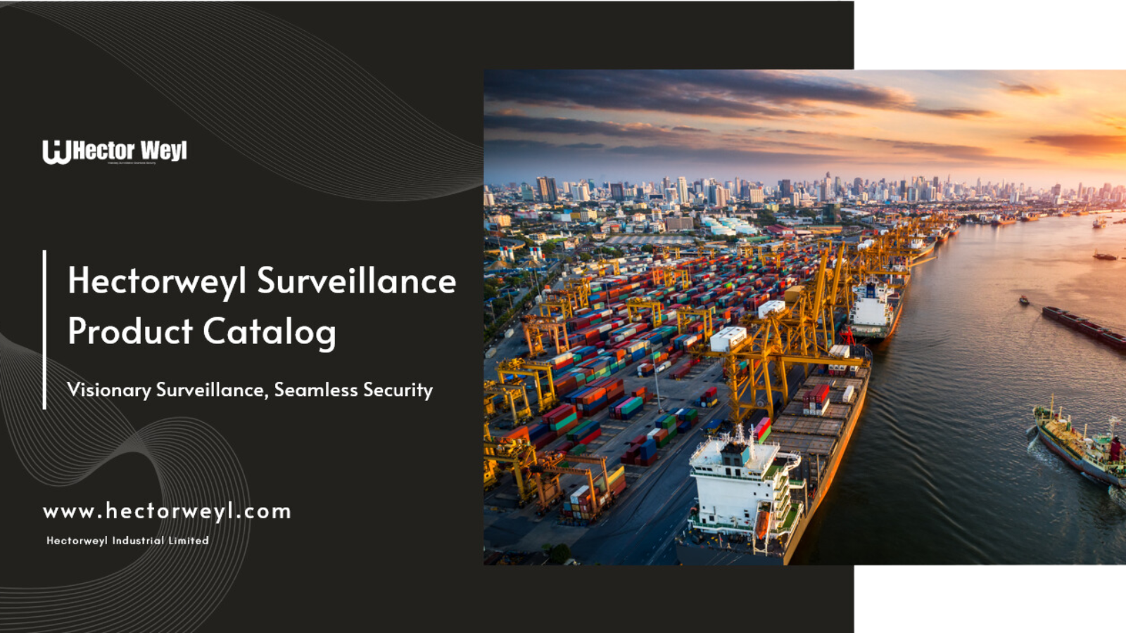 Hectorweyl Surveillance Product Catalog V1.1
