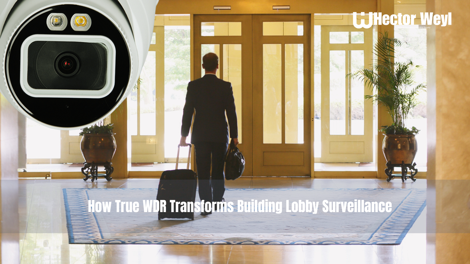 Conquering High-Contrast Environments:  How True WDR Transforms Building Lobby Surveillance