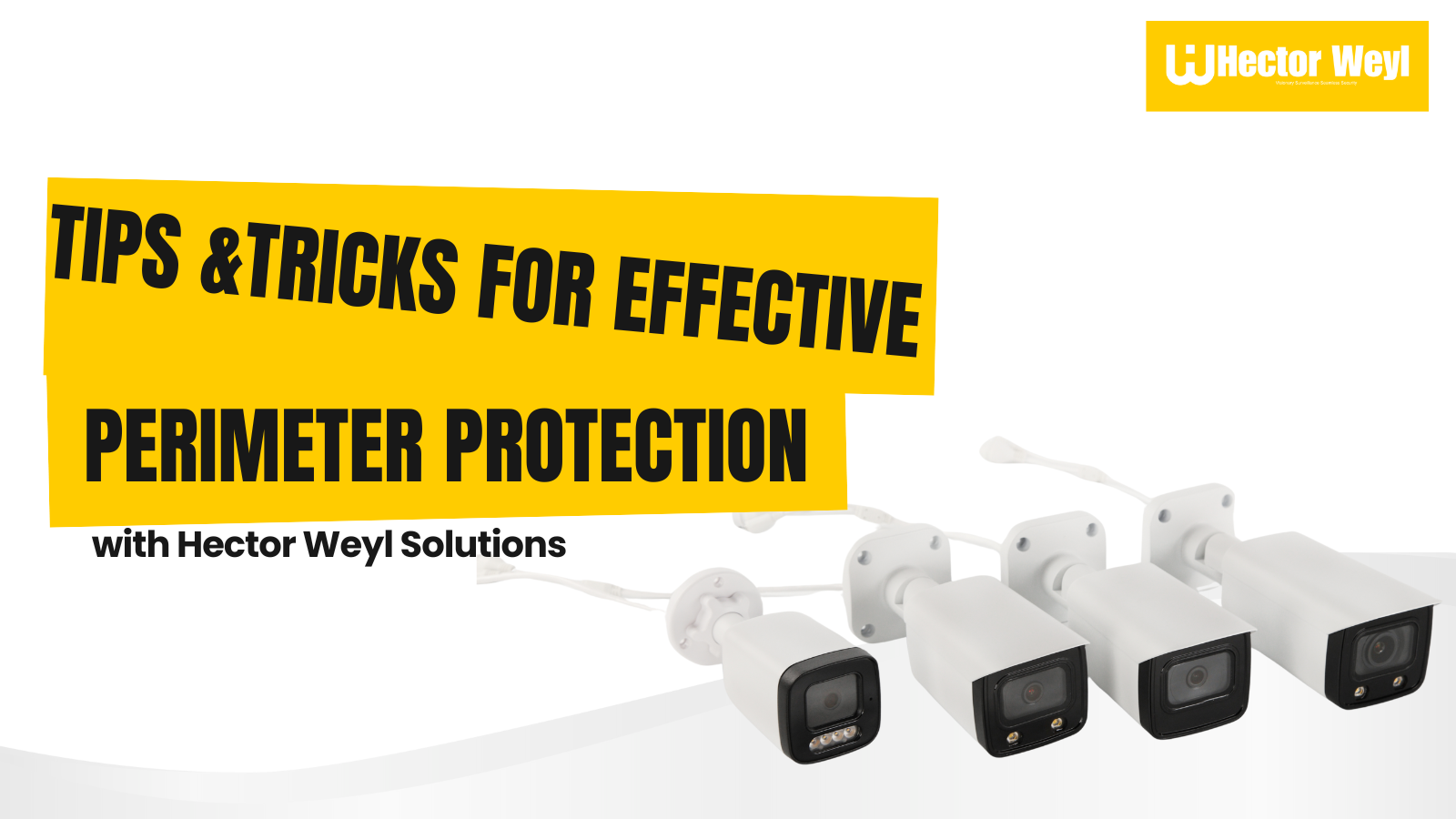 Tips and Tricks for Effective Perimeter Protection with Hector Weyl Solutions