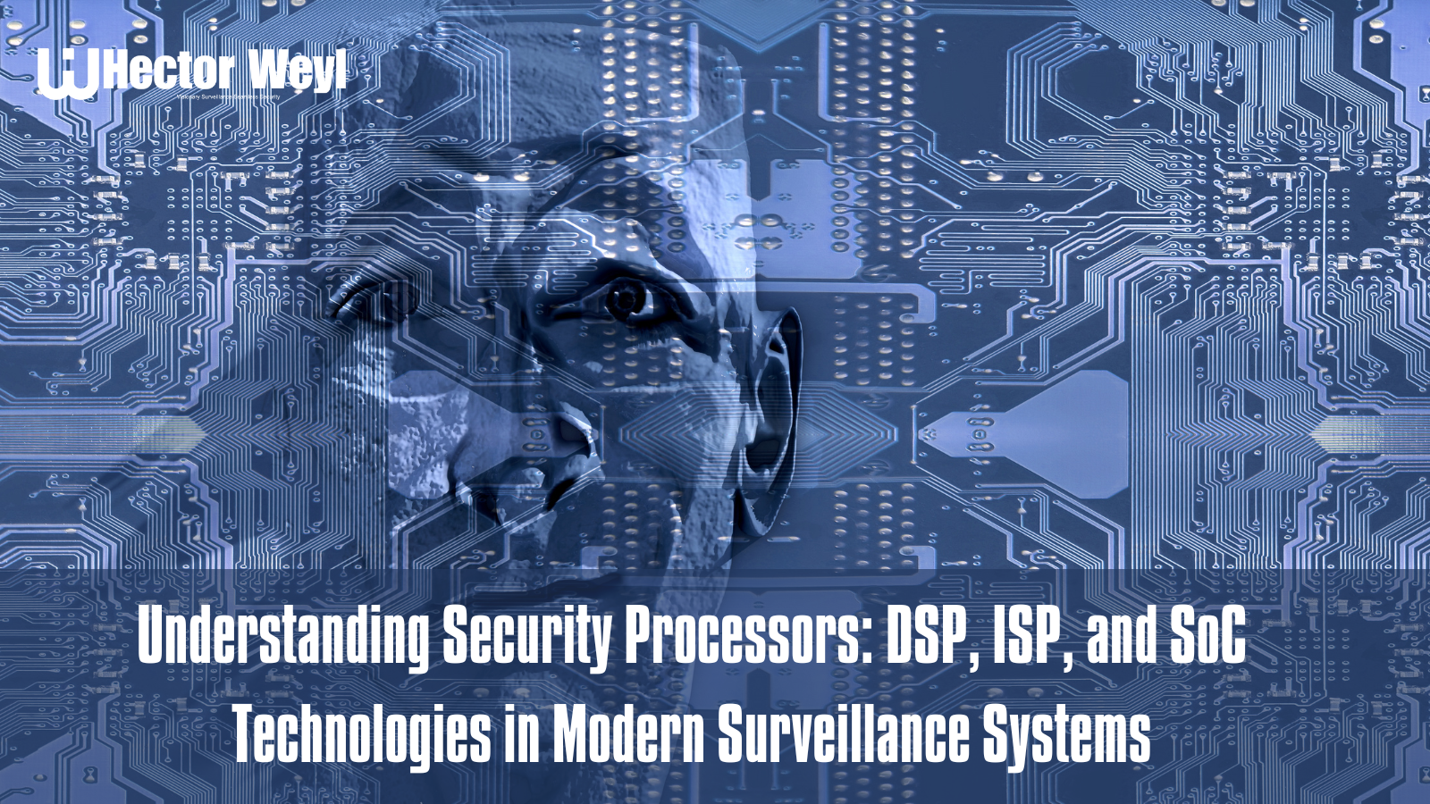 Understanding Security Processors: DSP, ISP, and SoC Technologies in Modern Surveillance Systems